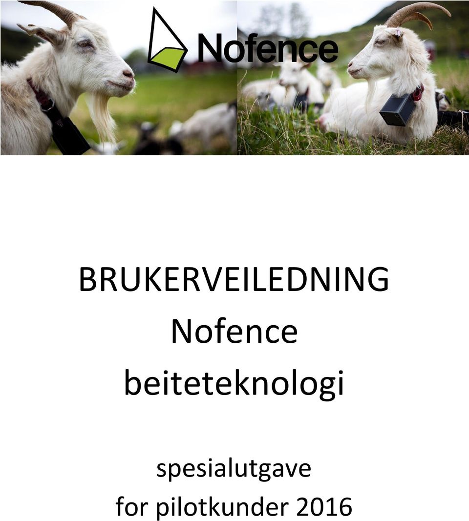 beiteteknologi