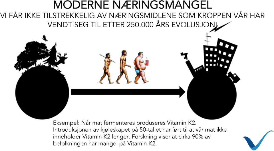 Eksempel: Når mat fermenteres produseres Vitamin K2.