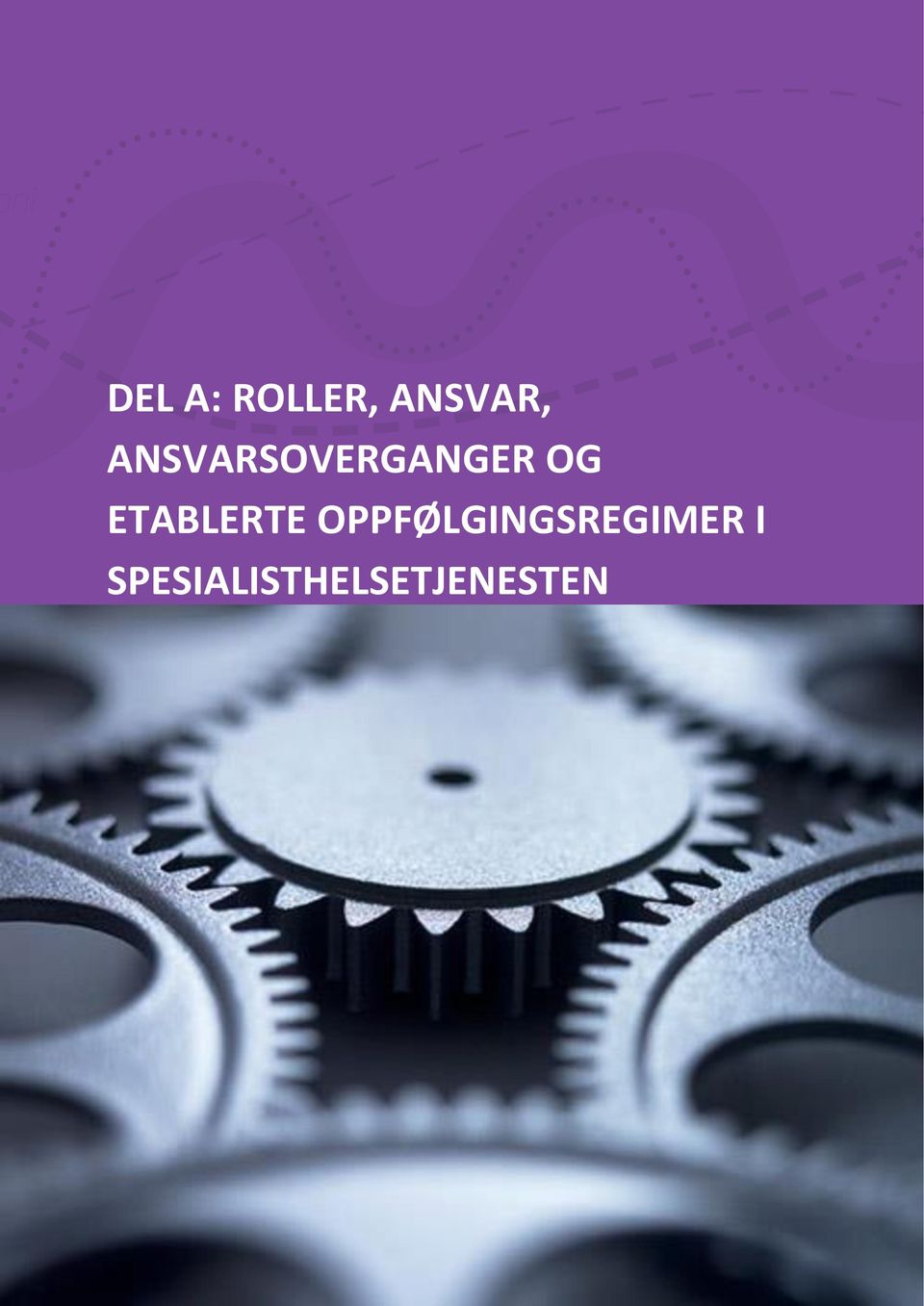 SPESIALISTHELSETJENESTEN DEL A: Roller, ansvar,