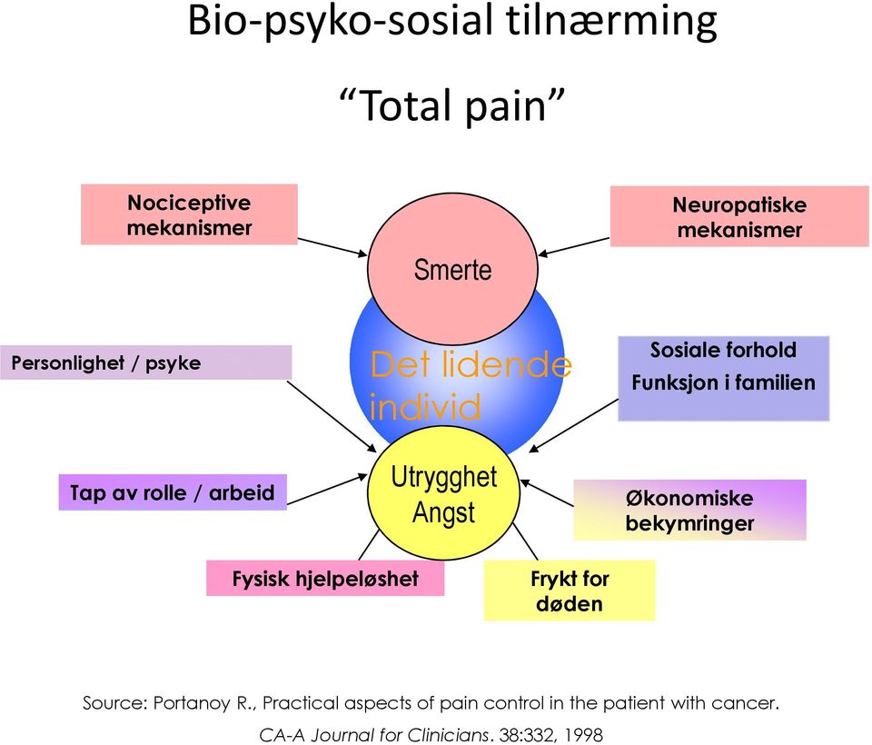 Funksjon i familien Økonomiske bekymringer Fysisk hjelpeløshet Frykt for døden Source: Portanoy R.