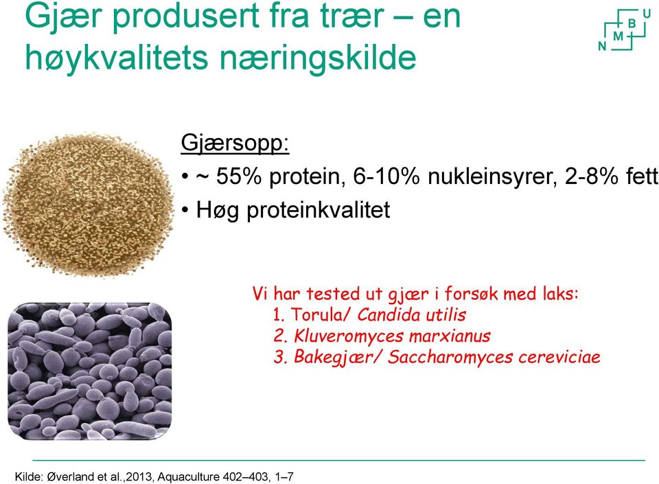 forsøk med laks: 1. Torula/ Candida utilis 2. Kluveromyces marxianus 3.