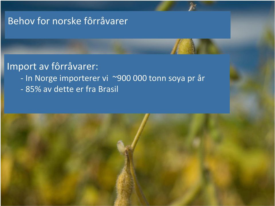 tonn soya pr år 85% av dette er fra Brasil NMBU