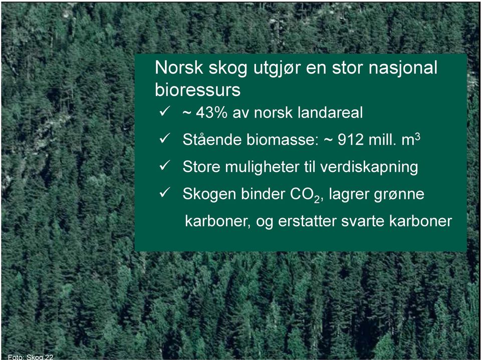 m3 Store muligheter til verdiskapning Skogen binder CO2, lagrer grønne