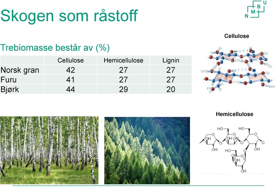 Hemicellulose Lignin Norsk gran 42