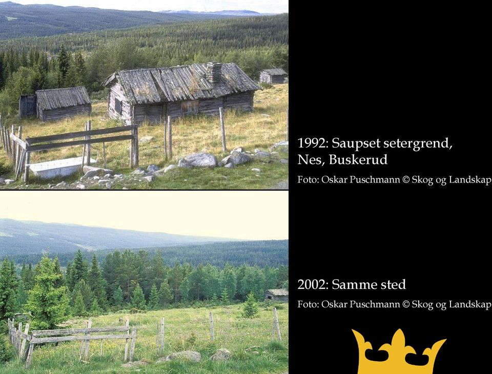 Skog og Landskap 2002: Samme sted