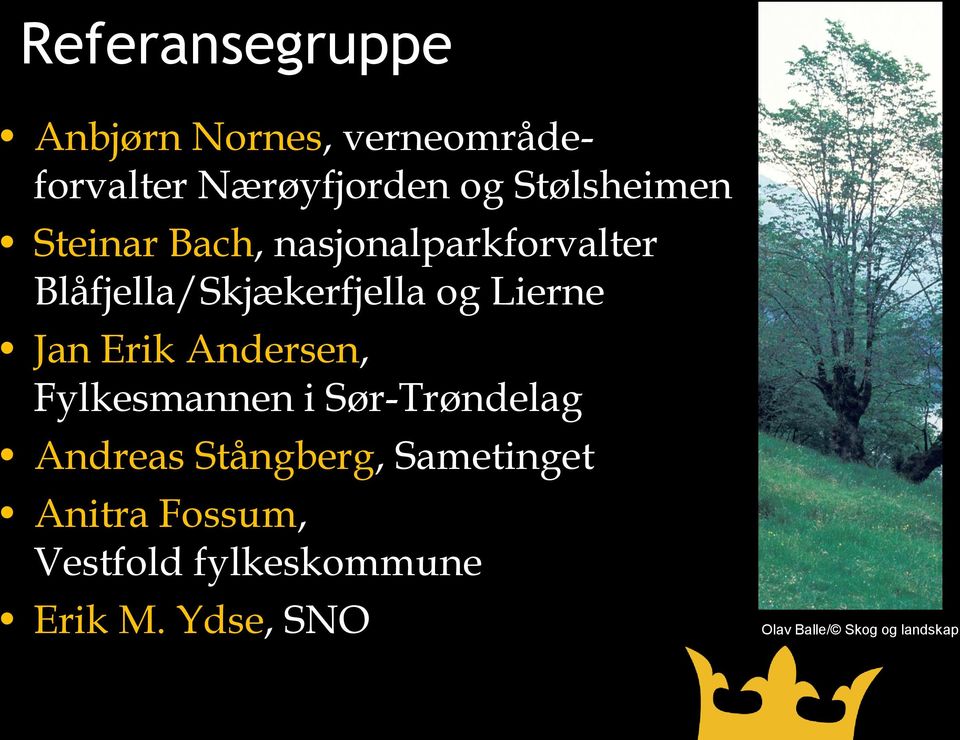 Lierne Jan Erik Andersen, Fylkesmannen i Sør-Trøndelag Andreas Stångberg,