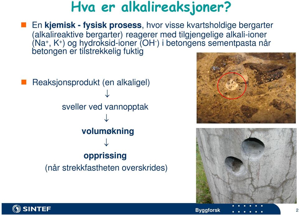 reagerer med tilgjengelige alkali-ioner (Na +, K + ) og hydroksid-ioner (OH - ) i betongens