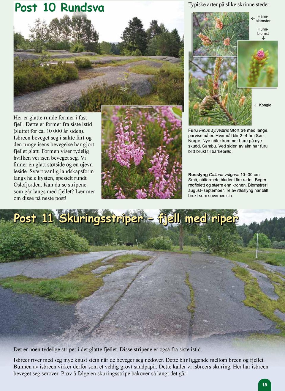 Svært vanlig landskapsform langs hele kysten, spesielt rundt Oslofjorden. Kan du se stripene som går langs med fjellet? Lær mer om disse på neste post!