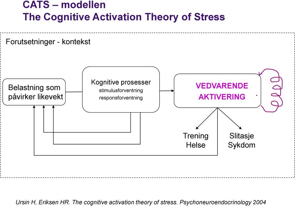 responsforventning VEDVARENDE Aktivering Kroppslige AKTIVERING forandringer Trening