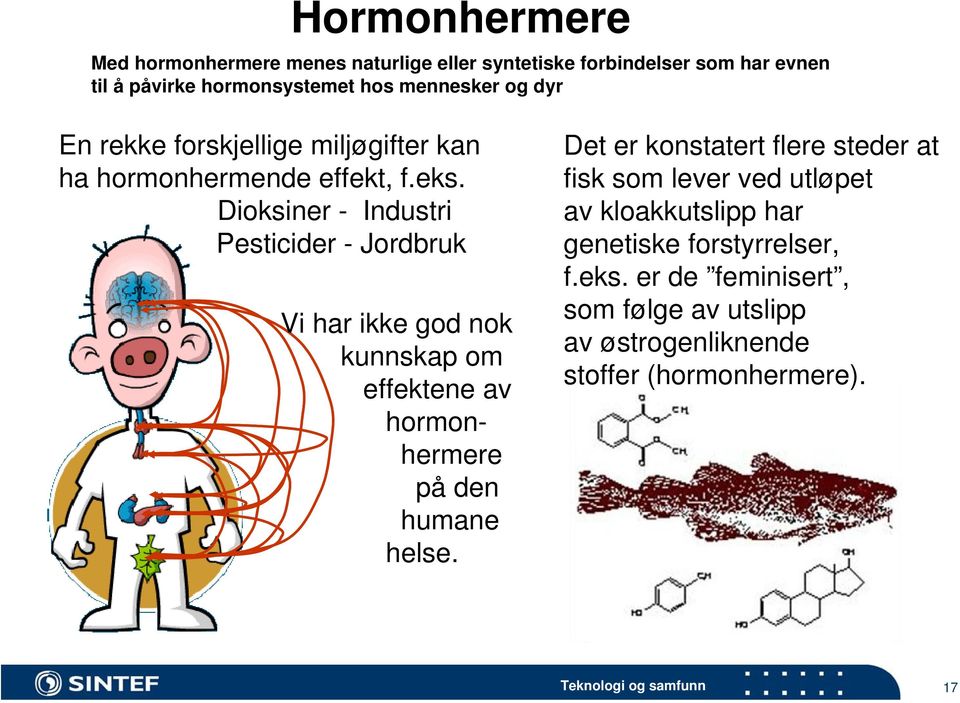 Dioksiner - Industri Pesticider - Jordbruk Vi har ikke god nok kunnskap om effektene av hormonhermere på den humane helse.