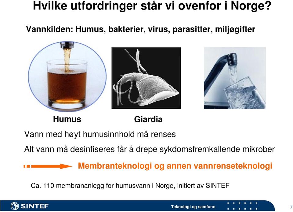 høyt humusinnhold må renses Alt vann må desinfiseres får å drepe