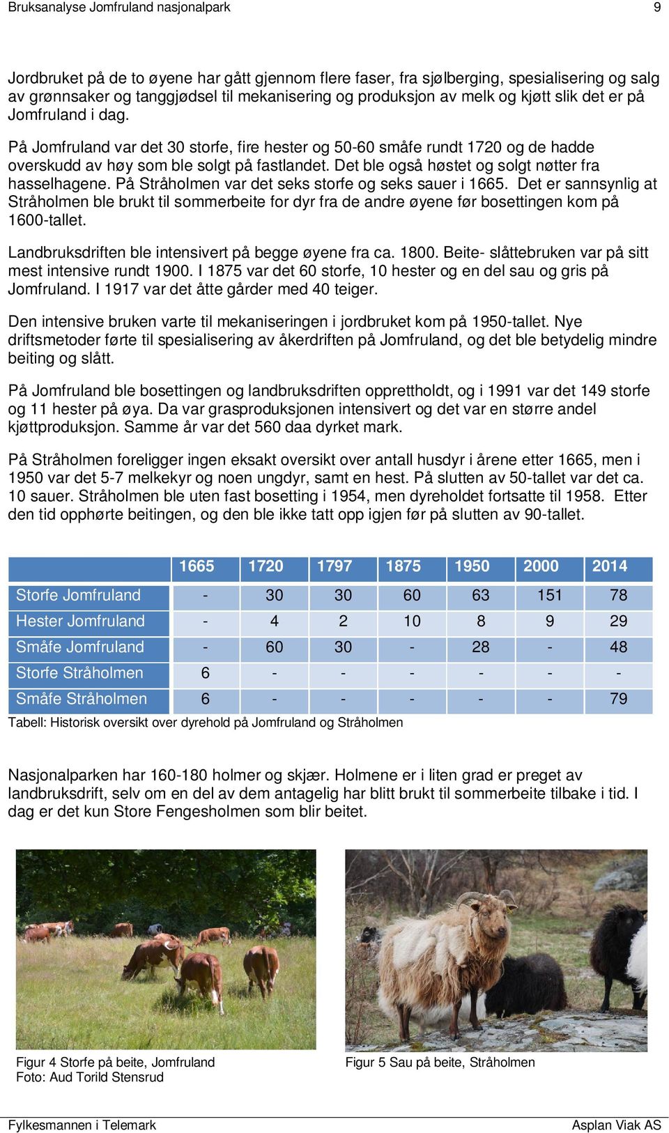 Det ble også høstet og solgt nøtter fra hasselhagene. På Stråholmen var det seks storfe og seks sauer i 1665.