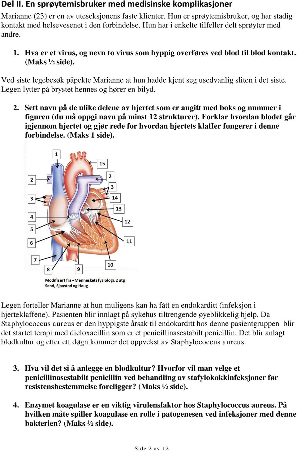 Ved siste legebesøk påpekte Marianne at hun hadde kjent seg usedvanlig sliten i det siste. Legen lytter på brystet hennes og hører en bilyd. 2.