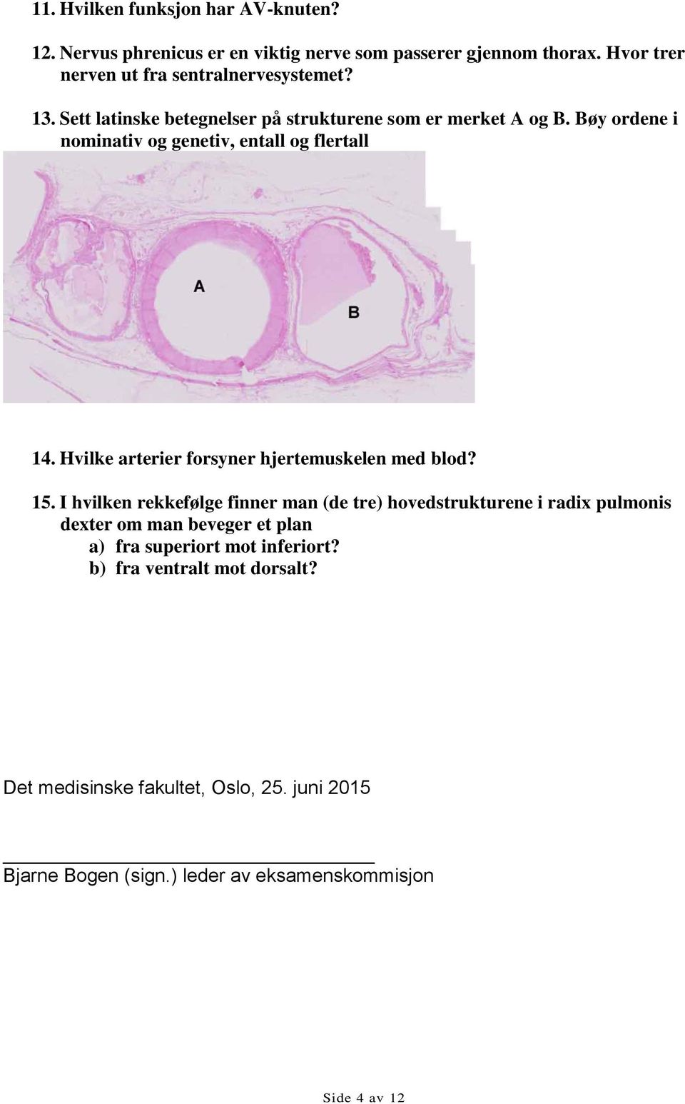 Hvilke arterier forsyner hjertemuskelen med blod? 15.