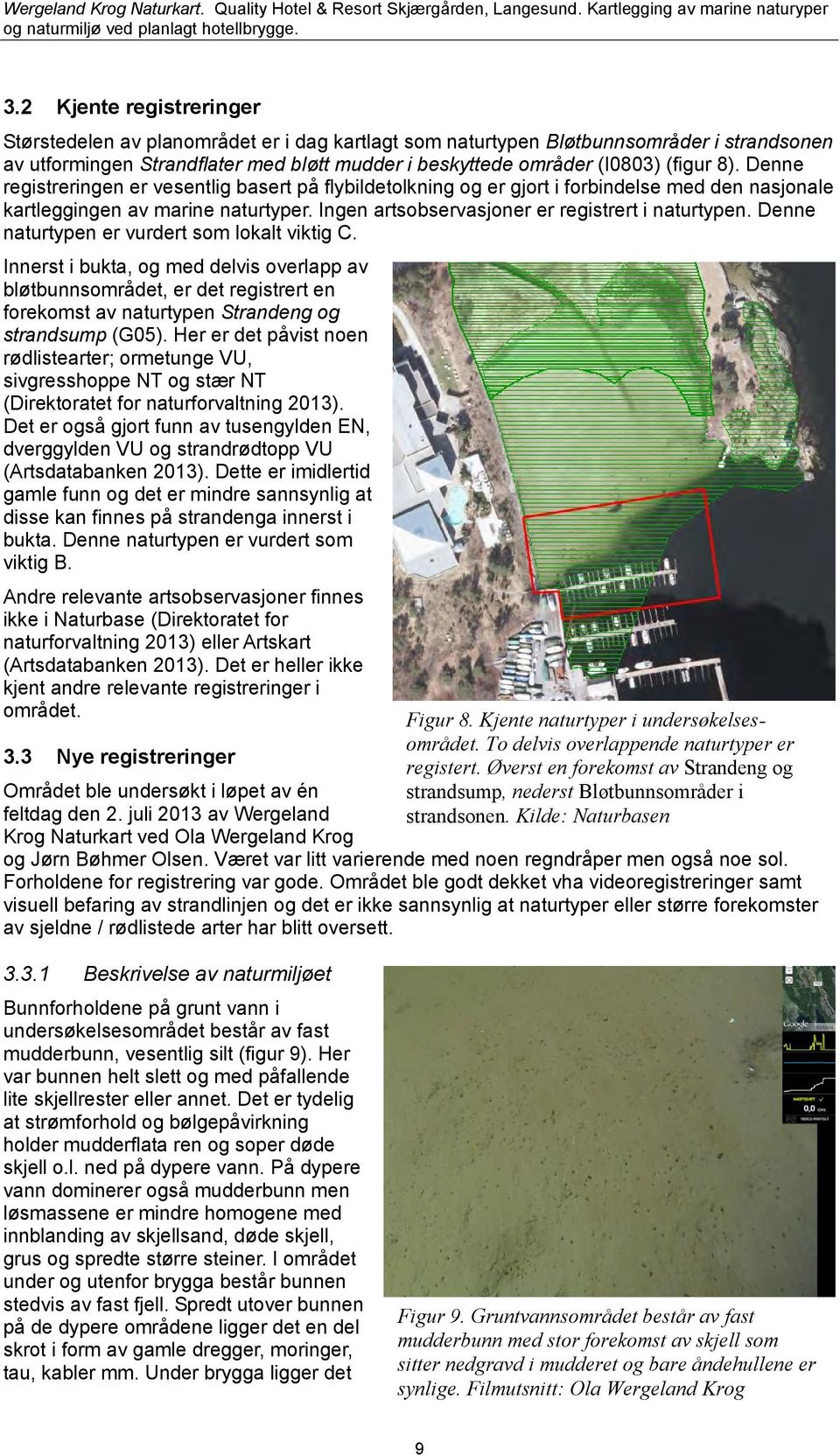 Denne naturtypen er vurdert som lokalt viktig C. Innerst i bukta, og med delvis overlapp av bløtbunnsområdet, er det registrert en forekomst av naturtypen Strandeng og strandsump (G05).