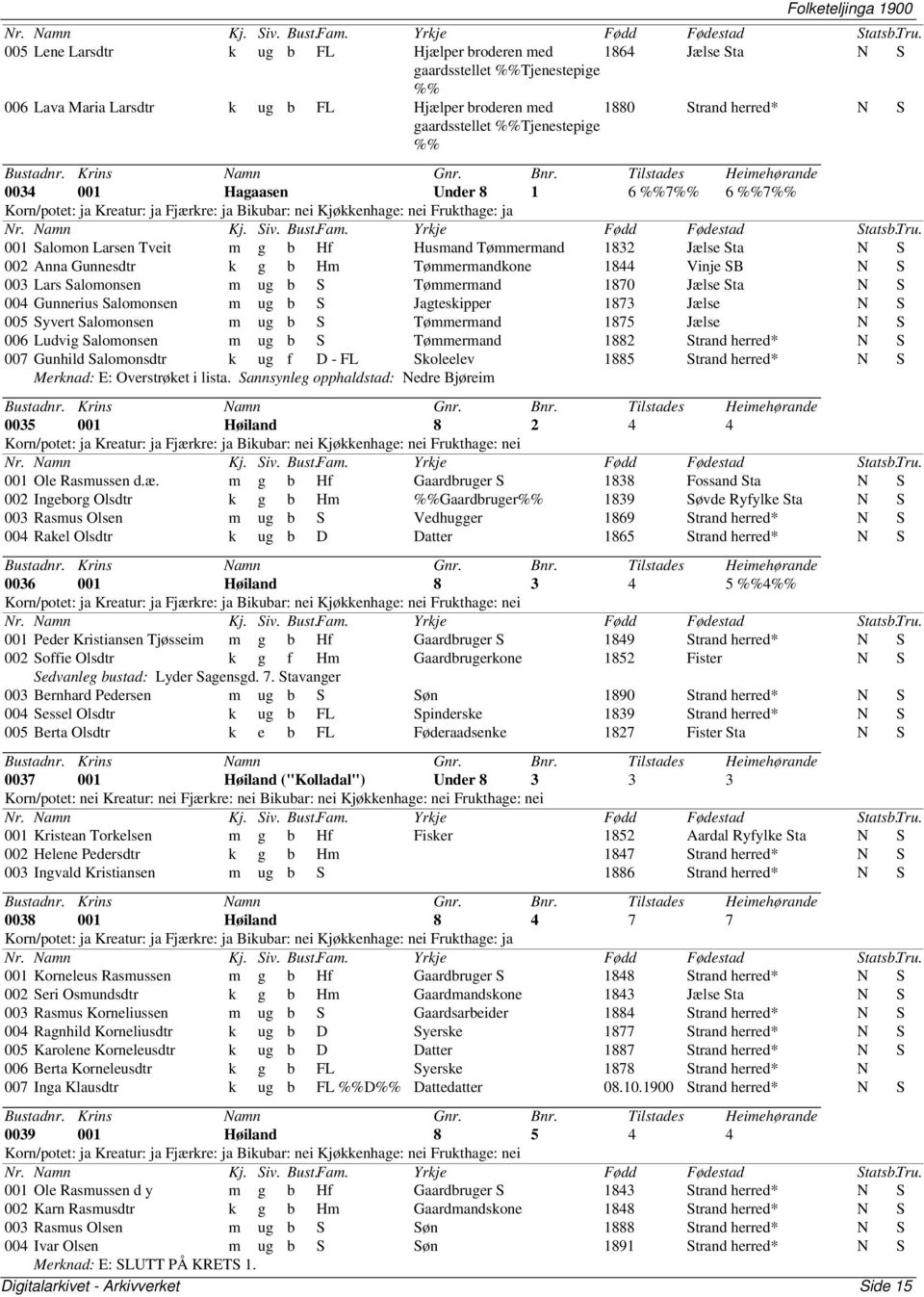 003 Lars Salomonsen m ug b S Tømmermand 1870 Jælse N S 004 Gunnerius Salomonsen m ug b S Jagteskipper 1873 Jælse N S 005 Syvert Salomonsen m ug b S Tømmermand 1875 Jælse N S 006 Ludvig Salomonsen m