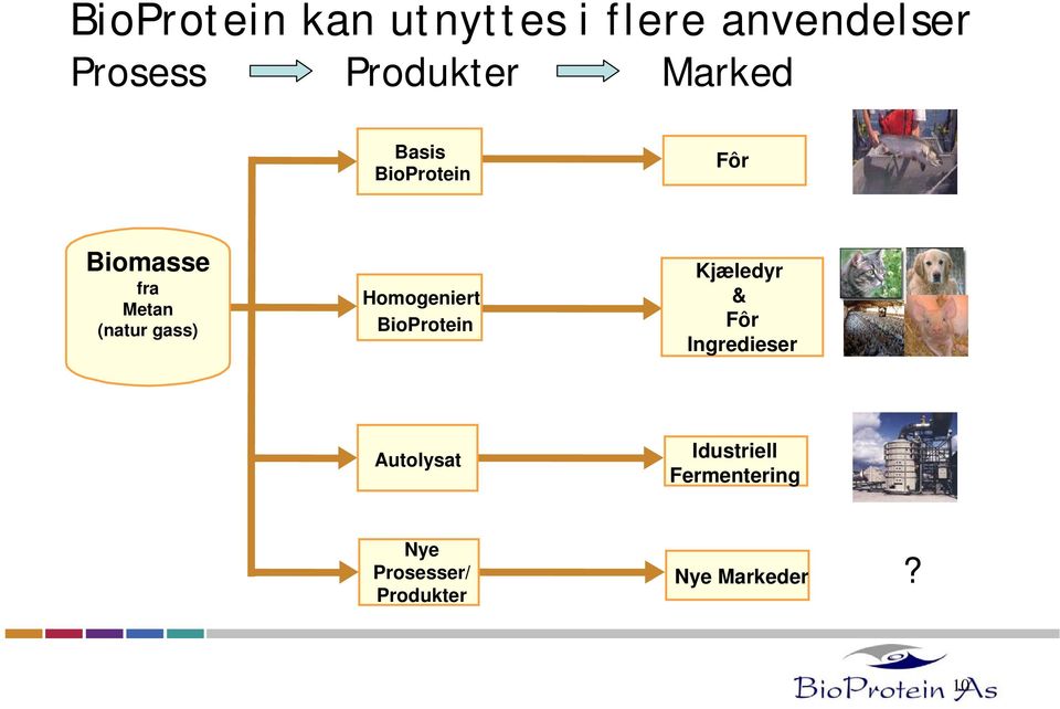 Homogeniert BioProtein Kjæledyr & Fôr Ingredieser Autolysat