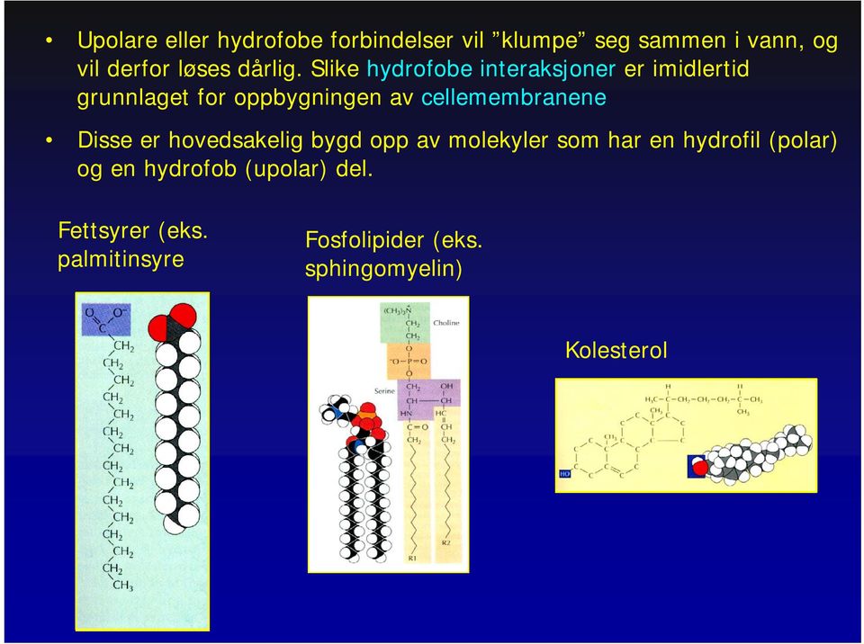 Slike hydrofobe interaksjoner er imidlertid grunnlaget for oppbygningen av