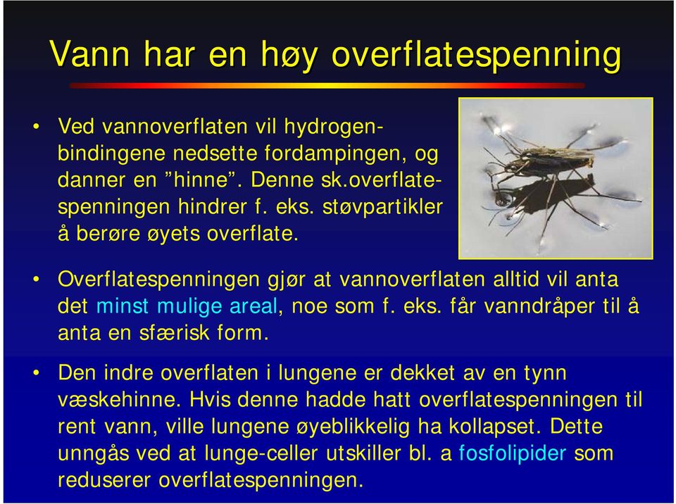 Overflatespenningen gjør at vannoverflaten alltid vil anta det minst mulige areal, noe som f. eks. får vanndråper til å anta en sfærisk form.