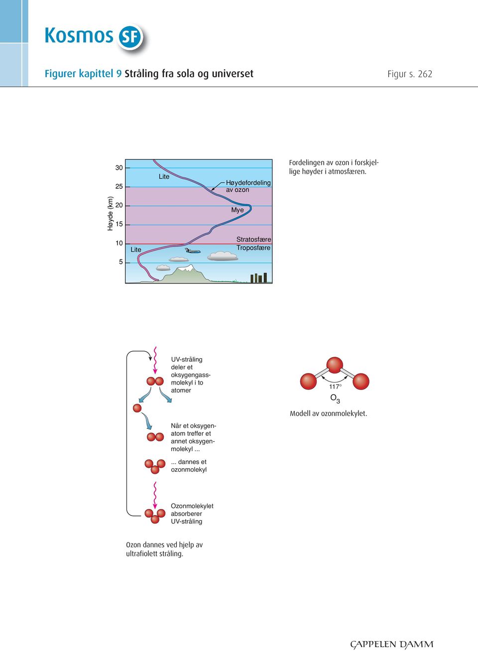 Høyde (km) 20 15 Mye 10 5 Lite Stratosfære Troposfære UV-stråling deler et oksygengassmolekyl i to atomer 117 O 3