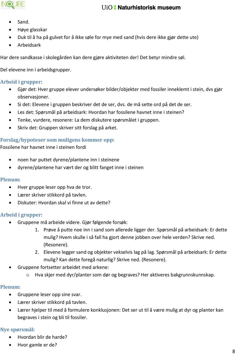 Si det: Elevene i gruppen beskriver det de ser, dvs. de må sette ord på det de ser. Les det: Spørsmål på arbeidsark: Hvordan har fossilene havnet inne i steinen?