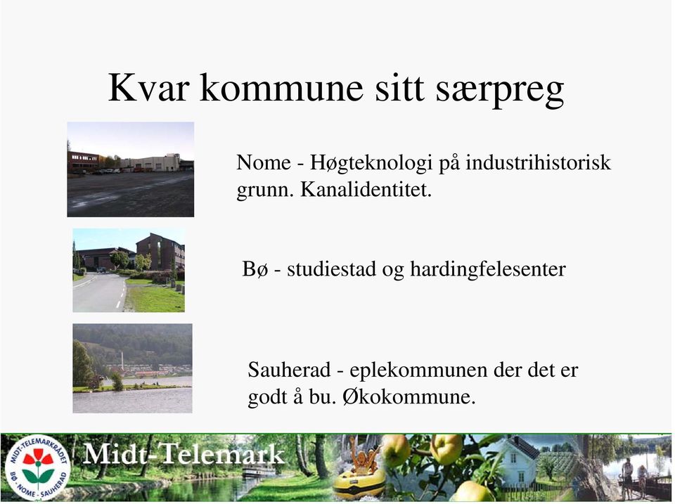 Bø - studiestad og hardingfelesenter Sauherad