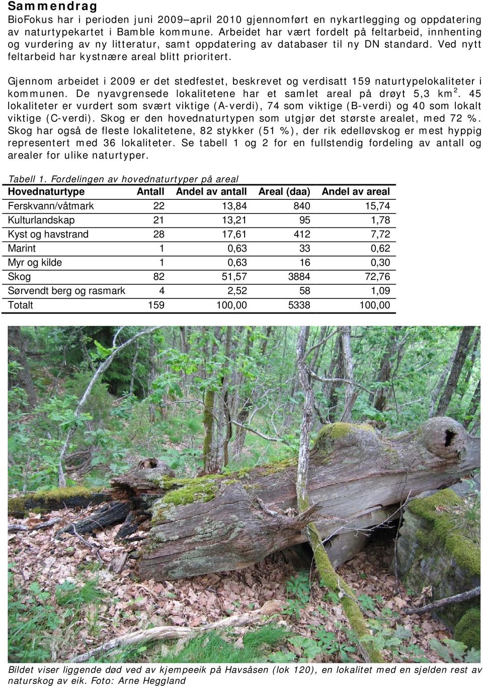 Gjennom arbeidet i 2009 er det stedfestet, beskrevet og verdisatt 159 naturtypelokaliteter i kommunen. De nyavgrensede lokalitetene har et samlet areal på drøyt 5,3 km 2.