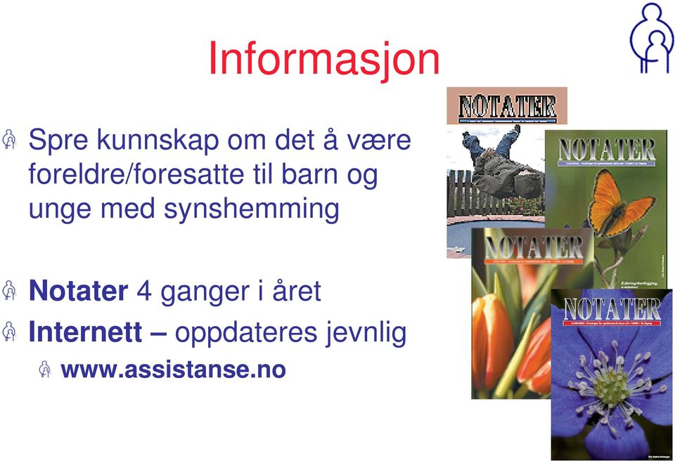 synshemming Notater 4 ganger i året