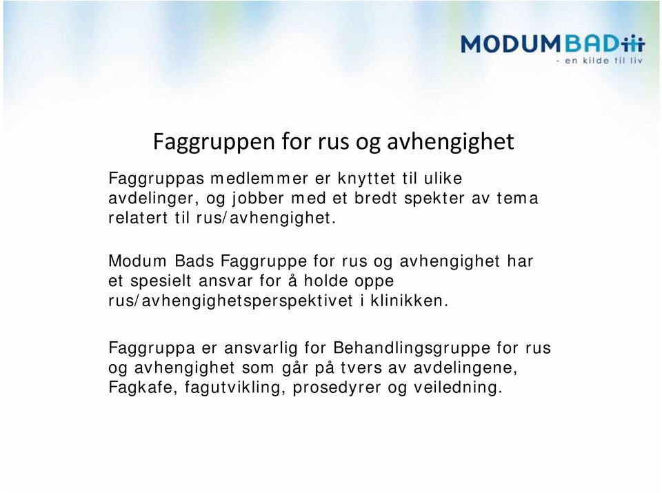 Modum Bads Faggruppe for rus og avhengighet har et spesielt ansvar for å holde oppe