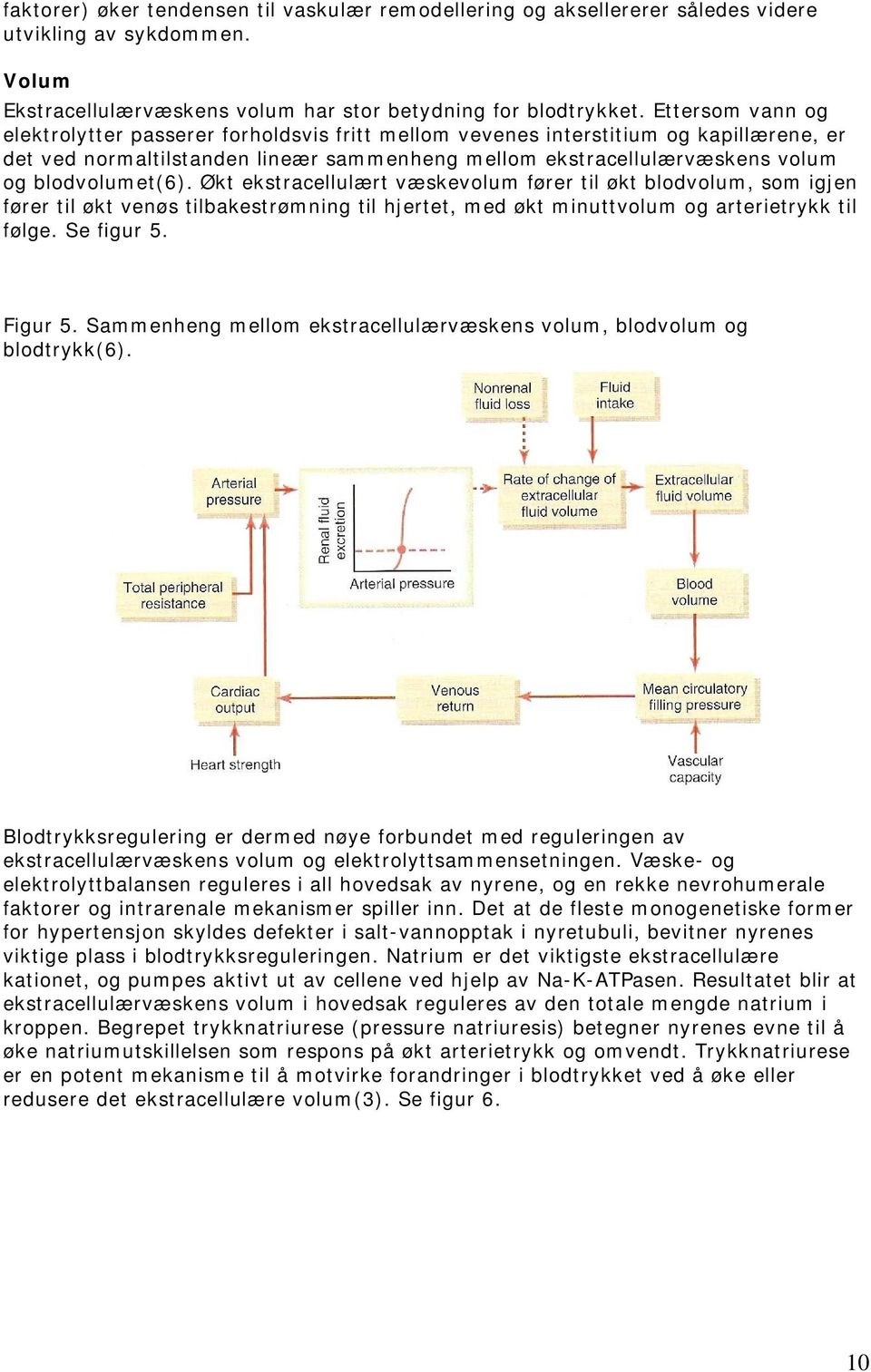 blodvolumet(6). Økt ekstracellulært væskevolum fører til økt blodvolum, som igjen fører til økt venøs tilbakestrømning til hjertet, med økt minuttvolum og arterietrykk til følge. Se figur 5. Figur 5.