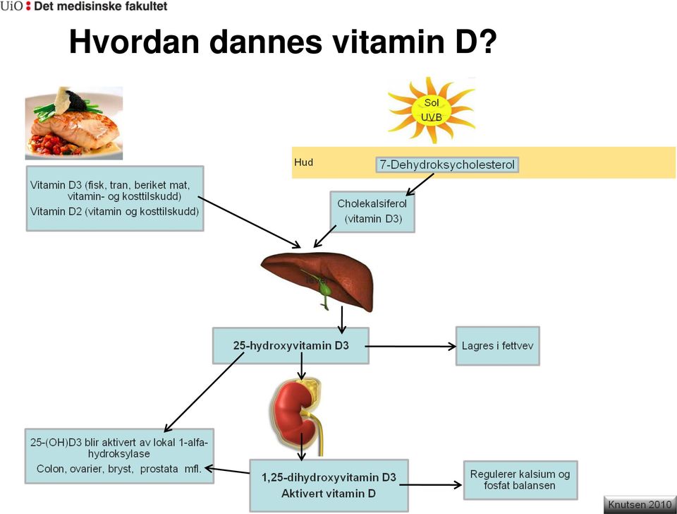 vitamin D?