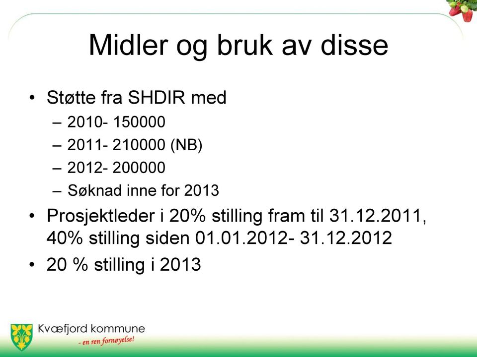 for 2013 Prosjektleder i 20% stilling fram til 31.12.