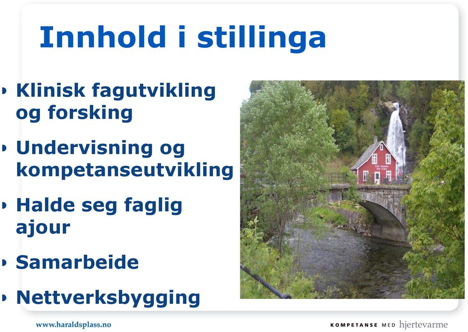 Undervisning og