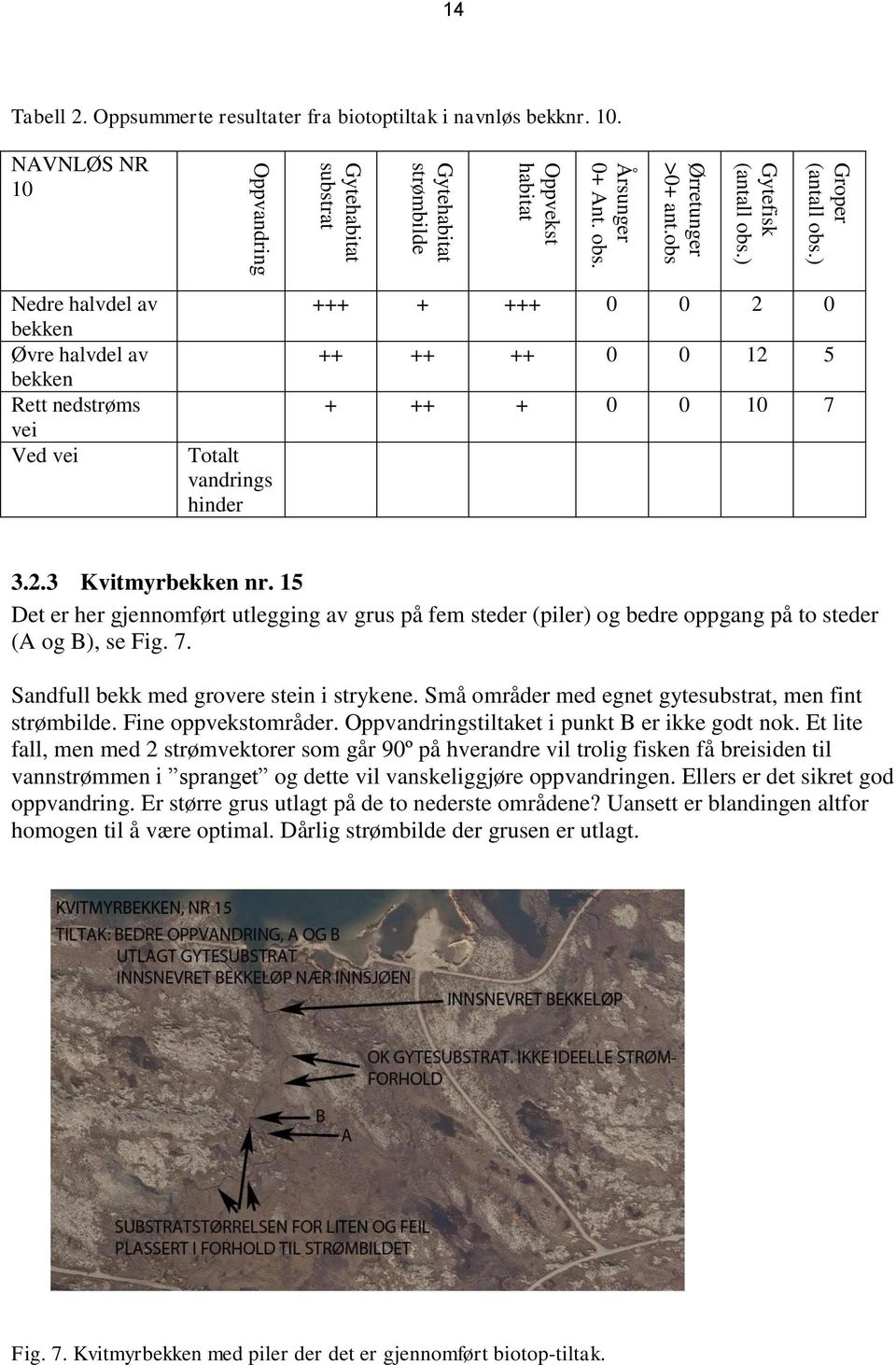 NAVNLØS NR 10 Nedre halvdel av bekken Øvre halvdel av bekken Rett nedstrøms vei Ved vei Totalt vandrings hinder +++ + +++ 0 0 2 0 ++ ++ ++ 0 0 12 5 + ++ + 0 0 10 7 3.2.3 Kvitmyrbekken nr.