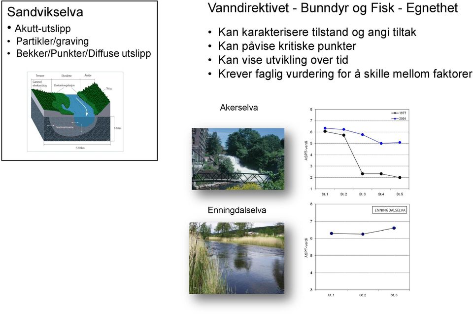 tilstand og angi tiltak Kan påvise kritiske punkter Kan vise utvikling