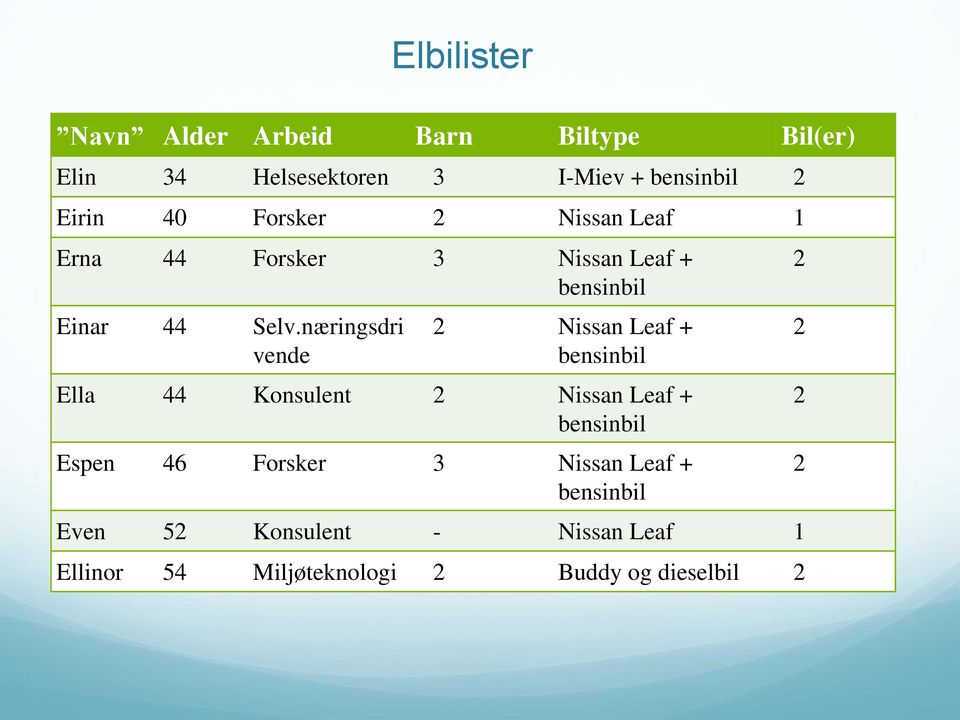 næringsdri vende 2 Nissan Leaf + bensinbil Ella 44 Konsulent 2 Nissan Leaf + bensinbil Espen 46