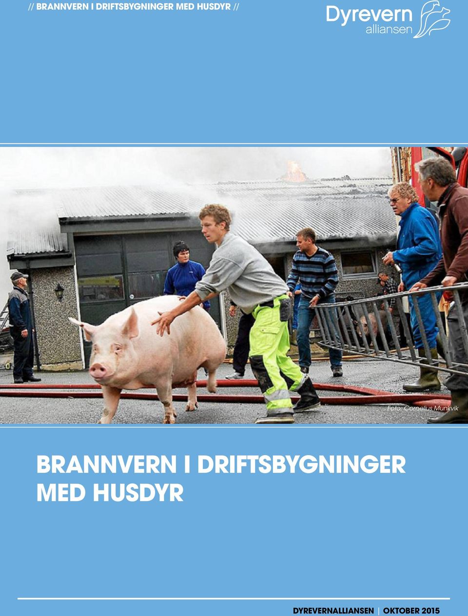 BRANNVERN I DRIFTSBYGNINGER MED