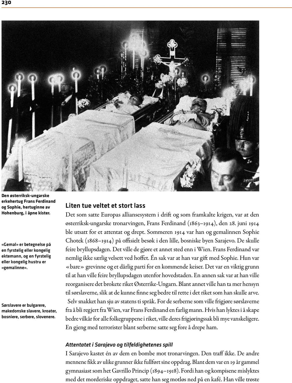 Liten tue veltet et stort lass Det som satte Europas alliansesystem i drift og som framkalte krigen, var at den østerriksk-ungarske tronarvingen, Frans Ferdinand (1863 1914), den 28.