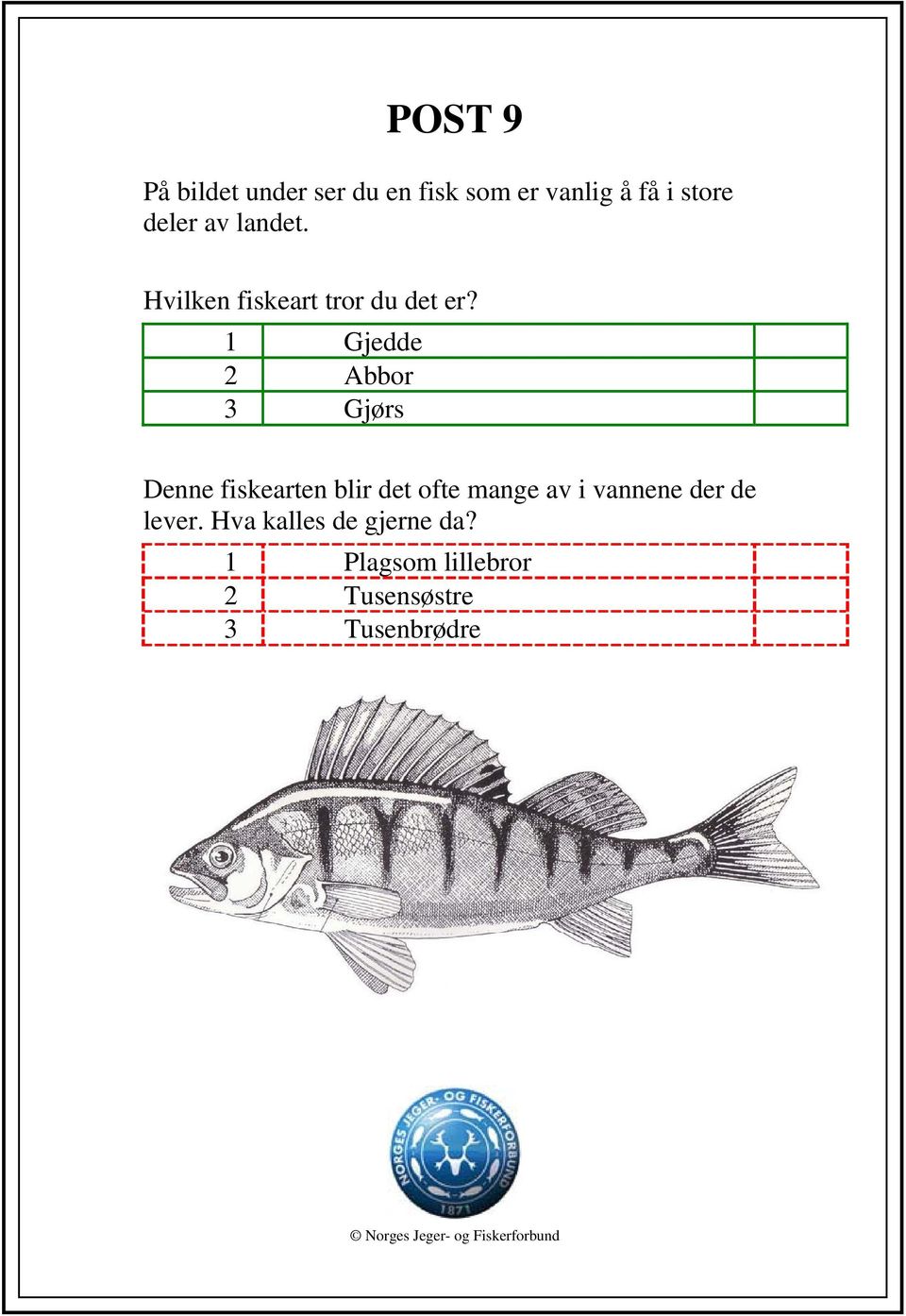 1 Gjedde 2 Abbor 3 Gjørs Denne fiskearten blir det ofte mange av i