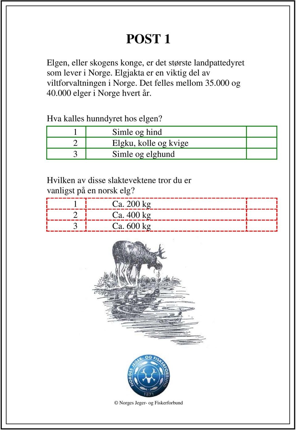 000 elger i Norge hvert år. Hva kalles hunndyret hos elgen?