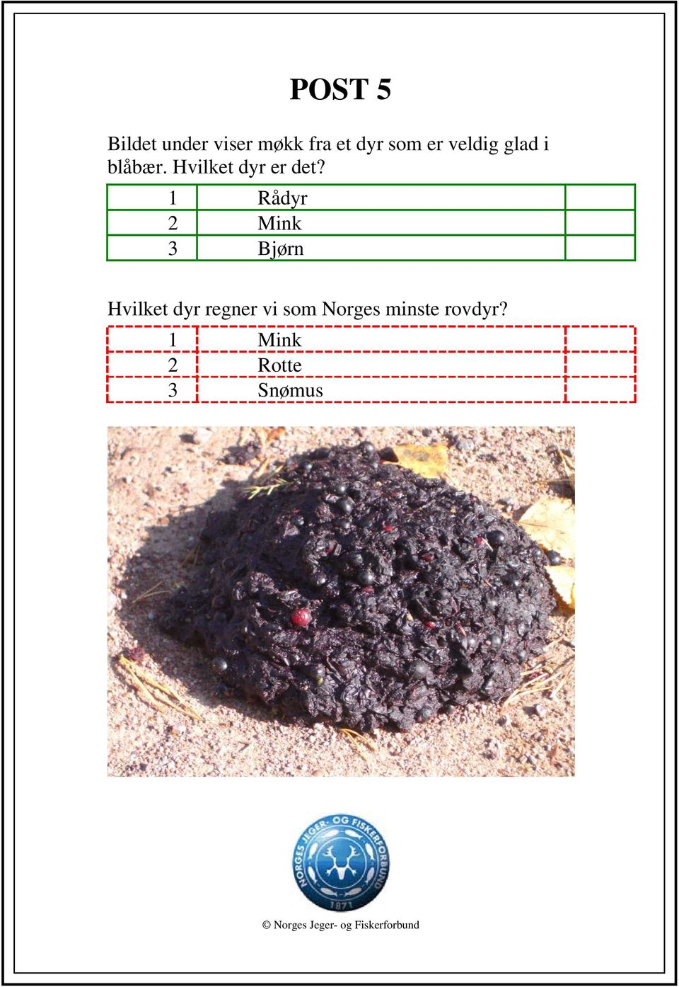 1 Rådyr 2 Mink 3 Bjørn Hvilket dyr regner vi