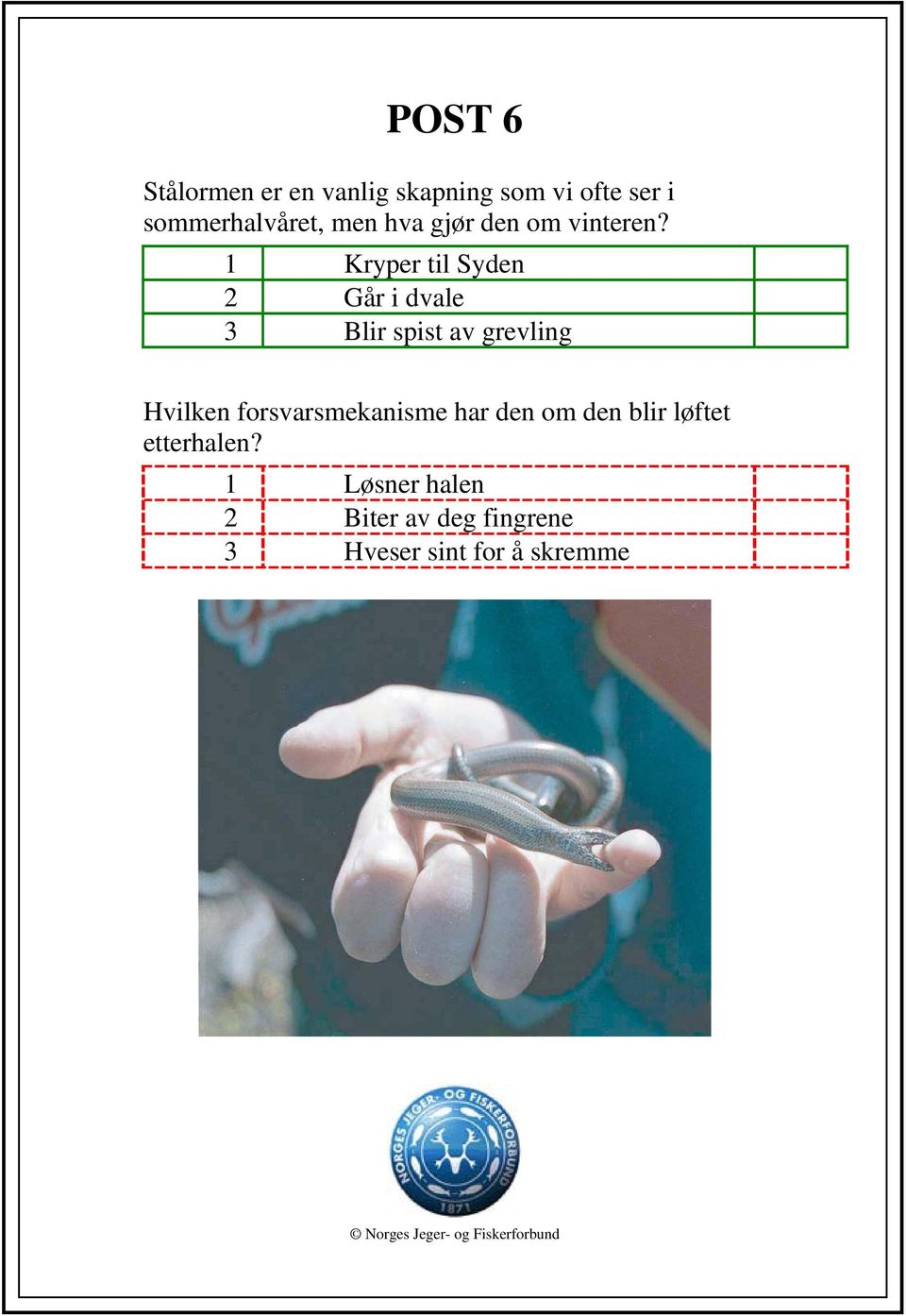 1 Kryper til Syden 2 Går i dvale 3 Blir spist av grevling Hvilken