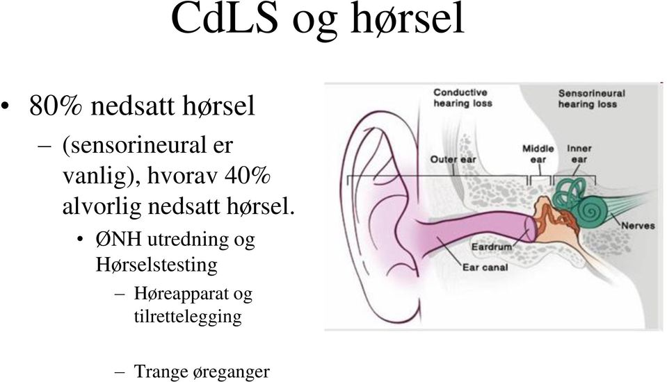 alvorlig nedsatt hørsel.