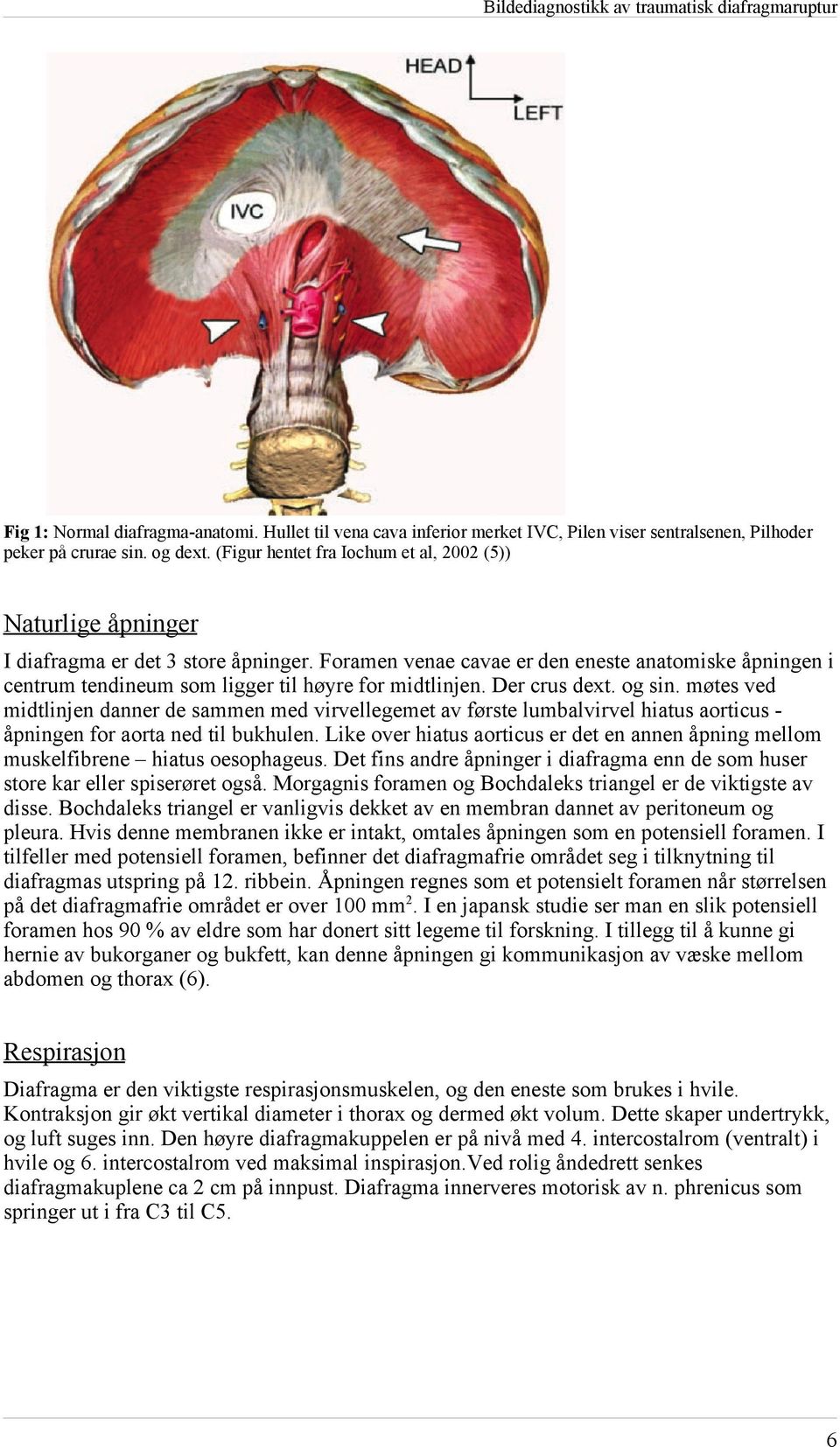 Foramen venae cavae er den eneste anatomiske åpningen i centrum tendineum som ligger til høyre for midtlinjen. Der crus dext. og sin.