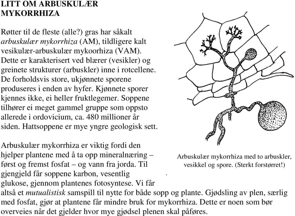 Kjønnete sporer kjennes ikke, ei heller fruktlegemer. Soppene tilhører ei meget gammel gruppe som oppsto allerede i ordovicium, ca. 480 millioner år siden. Hattsoppene er mye yngre geologisk sett.