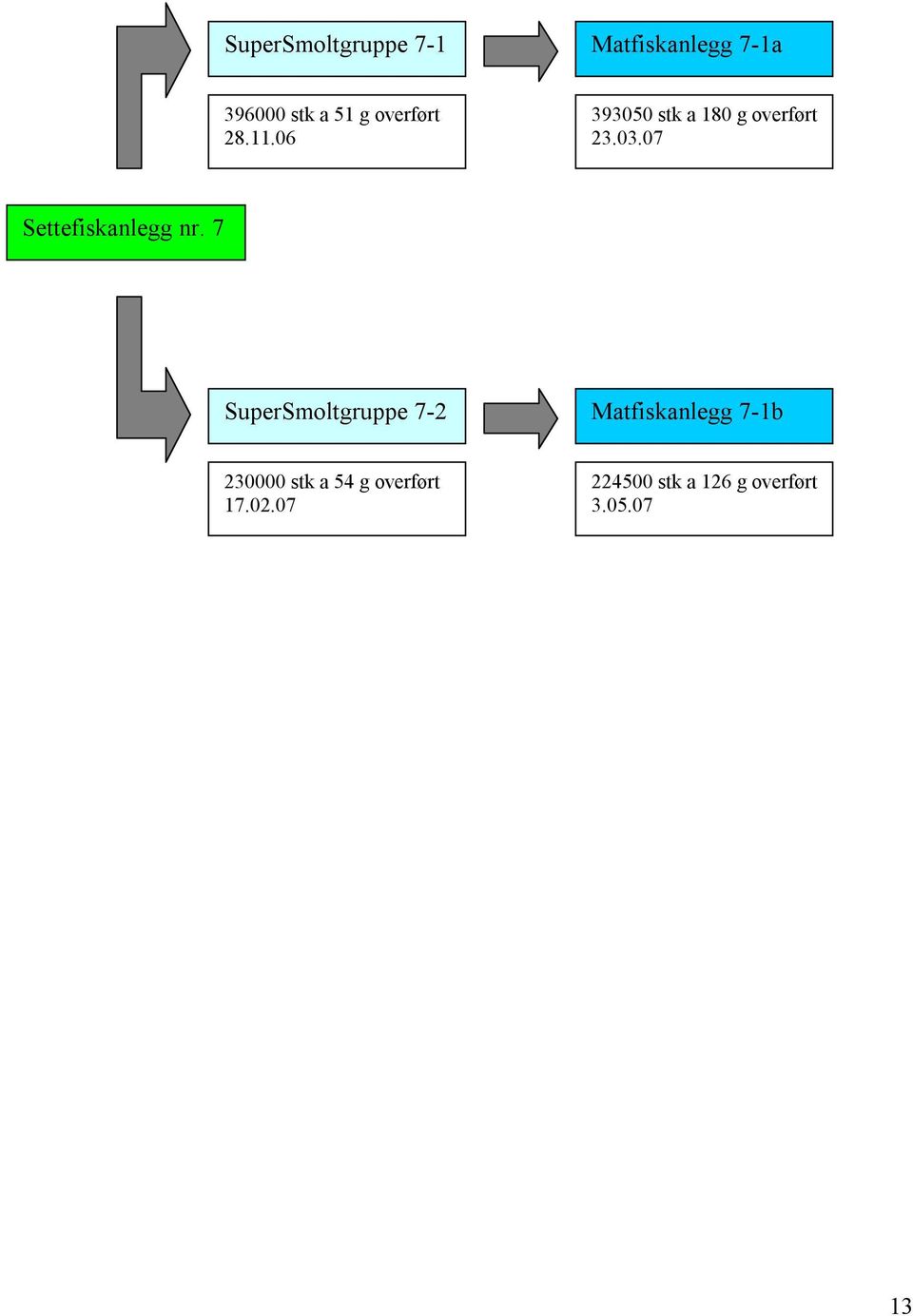 7 SuperSmoltgruppe 7-2 Matfiskanlegg 7-1b 23 stk a 54 g