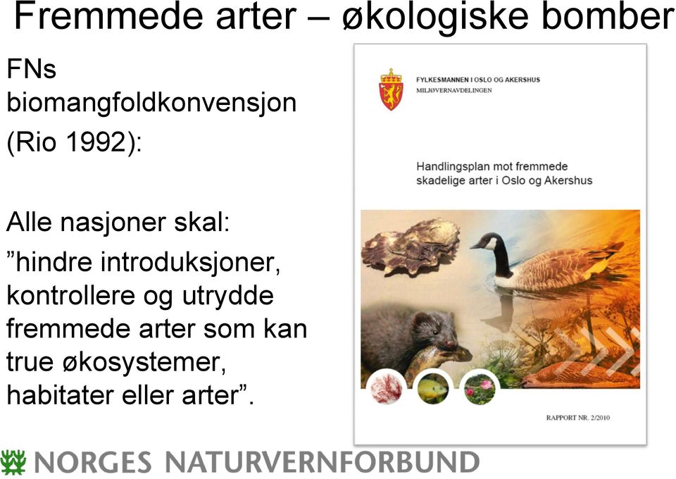 skal: hindre introduksjoner, kontrollere og