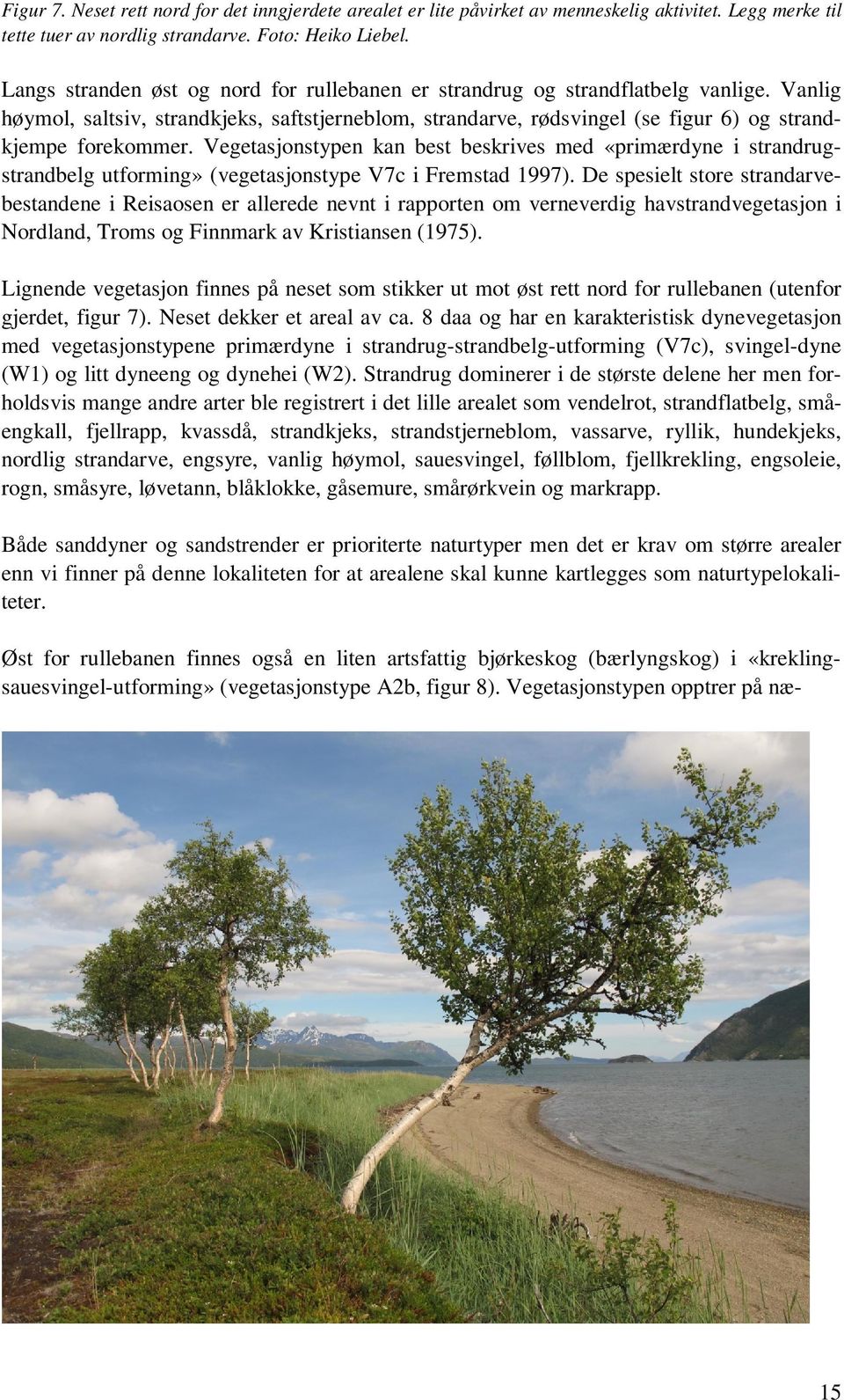 Vegetasjonstypen kan best beskrives med «primærdyne i strandrugstrandbelg utforming» (vegetasjonstype V7c i Fremstad 1997).