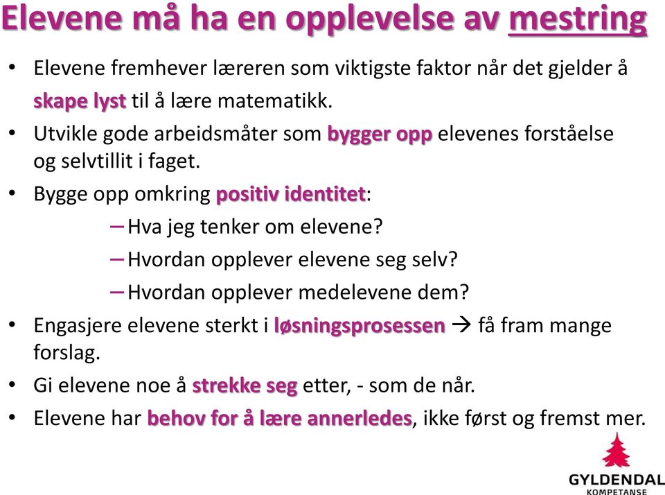 Bygge opp omkring positiv identitet: Hva jeg tenker om elevene? Hvordan opplever elevene seg selv? Hvordan opplever medelevene dem?