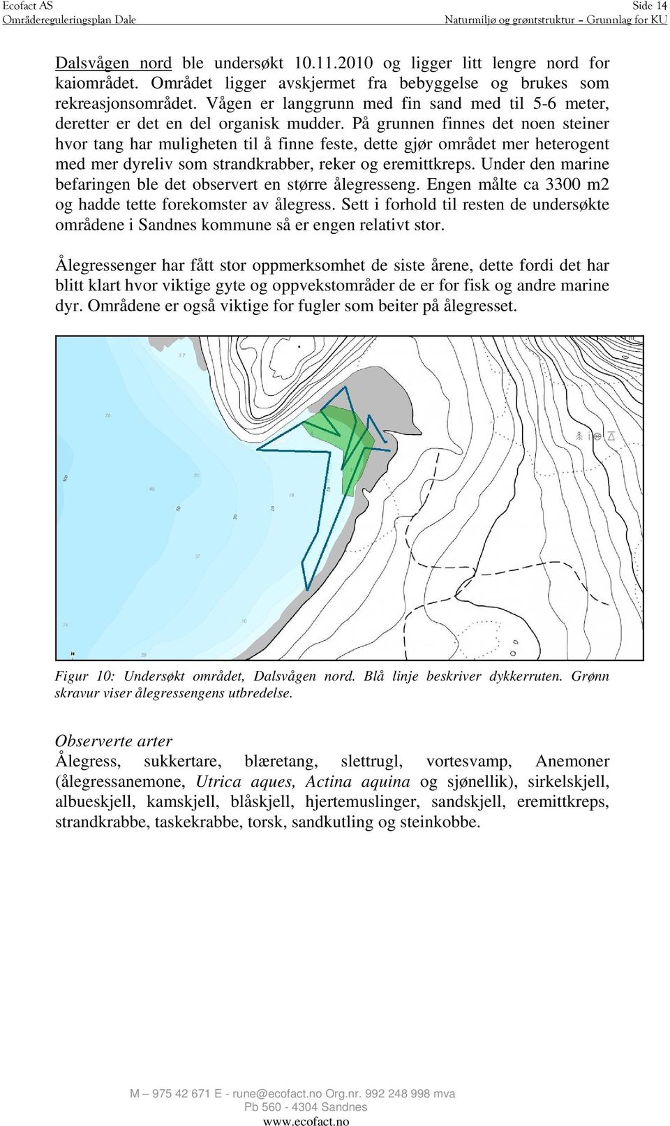 På grunnen finnes det noen steiner hvor tang har muligheten til å finne feste, dette gjør området mer heterogent med mer dyreliv som strandkrabber, reker og eremittkreps.